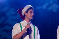 Twelve Days of Christmas-4595
