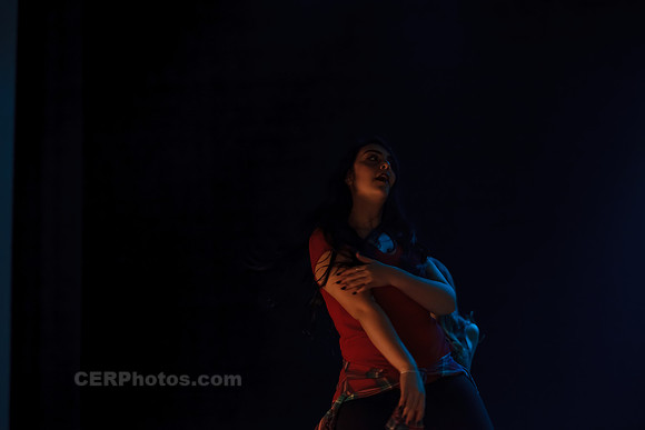 Holiday Dance Ensemble-0930