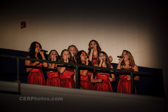 The Christmas Song-1257