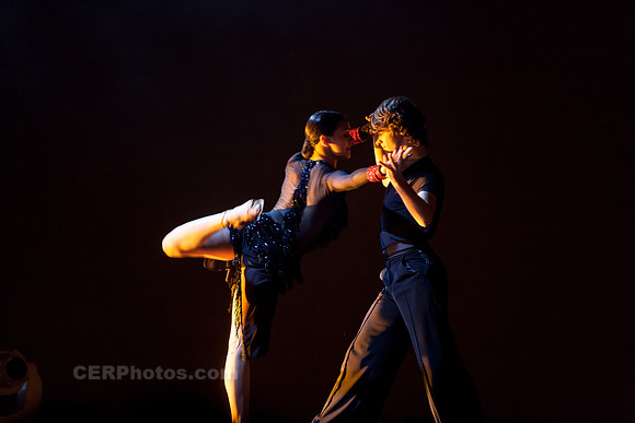 Rumba-1455