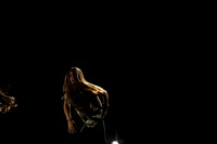 I'm Different-0603