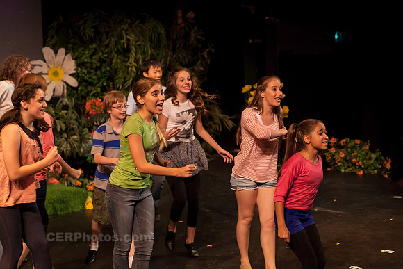 Showcamp 2013 Production of Neverland at the Colony Theatre, Burbank, California