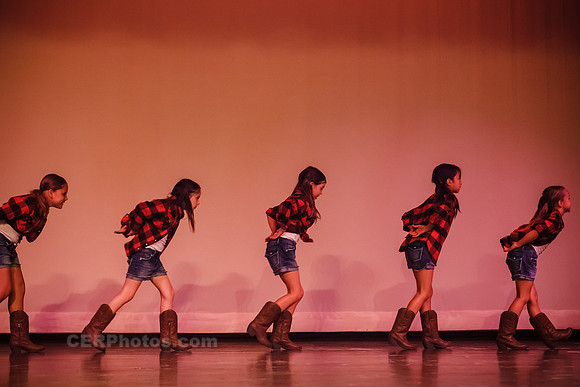 Timber-0014