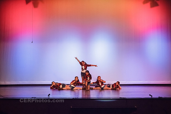 Timber-0047