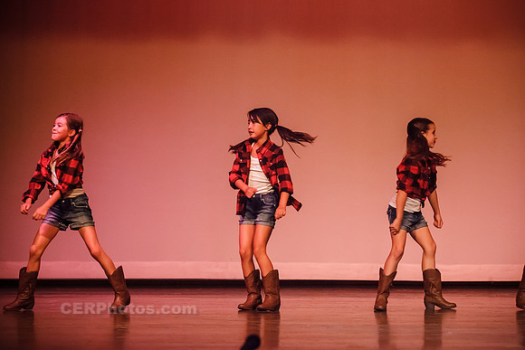 Timber-0024