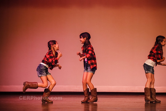 Timber-0025
