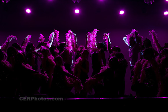 Sparkling Diamonds-7712